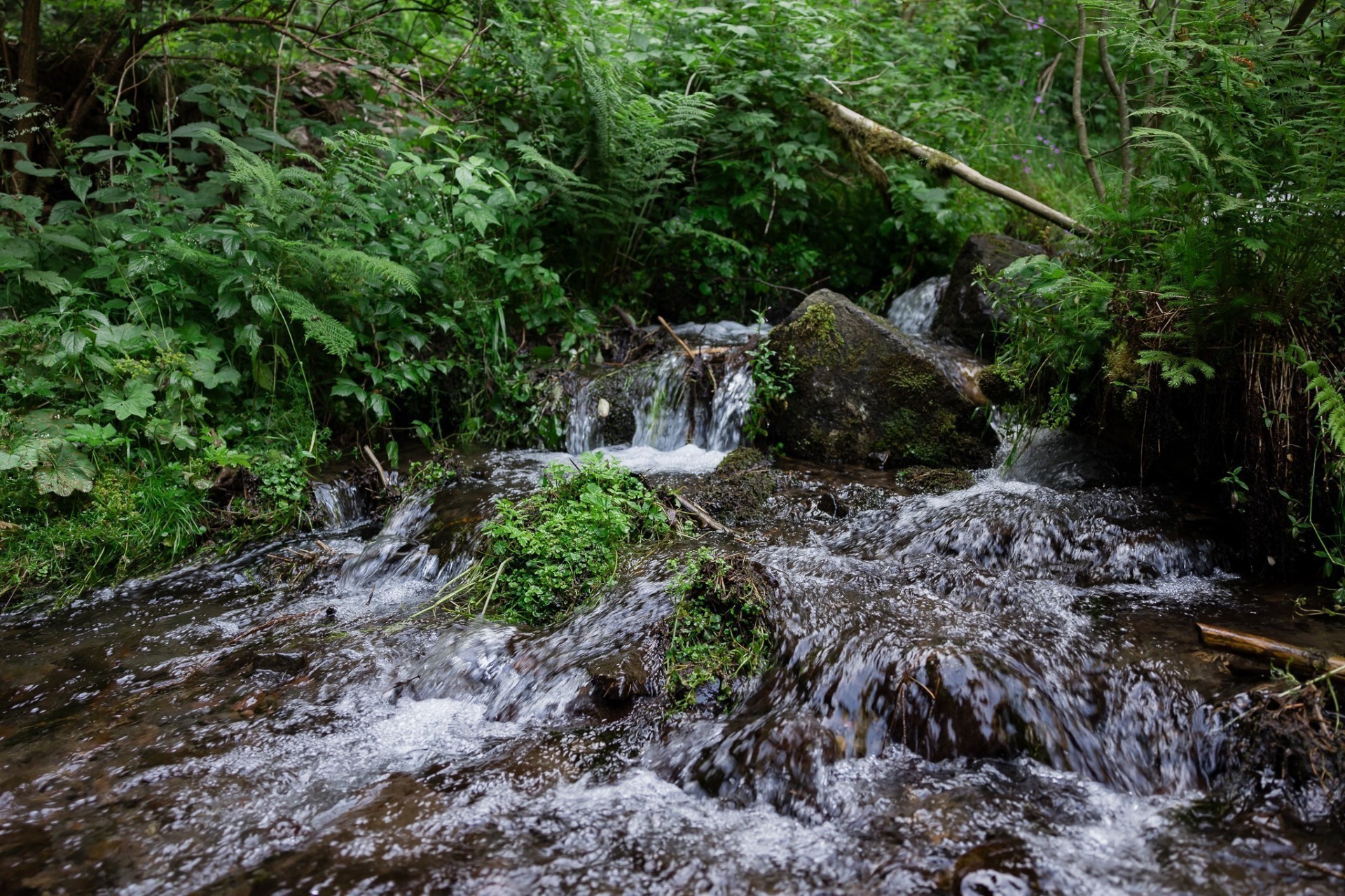Το AQUA Carpatica κατακτάει την ελληνική αγορά