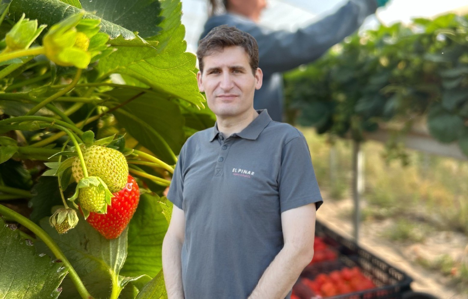 Ισπανική απόβαση στην Ηλεία: Η εξαγορά της Kyriazis από την El Pinar και τα σχέδια για επέκταση (pics)