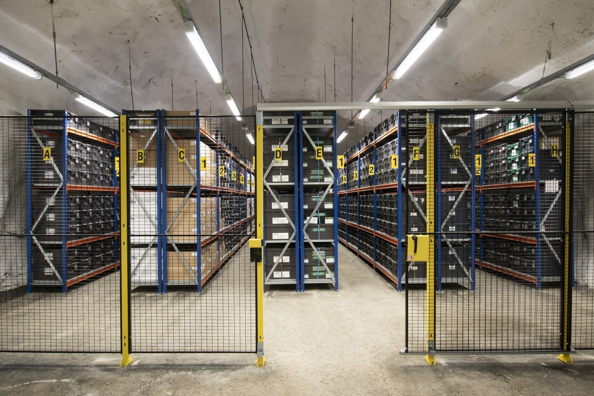 Παγκόσμια Τράπεζα Σπόρων: Η ανθρωπότητα προετοιμάζεται για την καταστροφή σιωπηλά