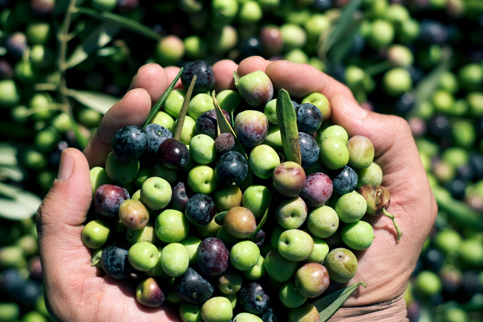 Παγκόσμια Τράπεζα Σπόρων: Η ανθρωπότητα προετοιμάζεται για την καταστροφή σιωπηλά