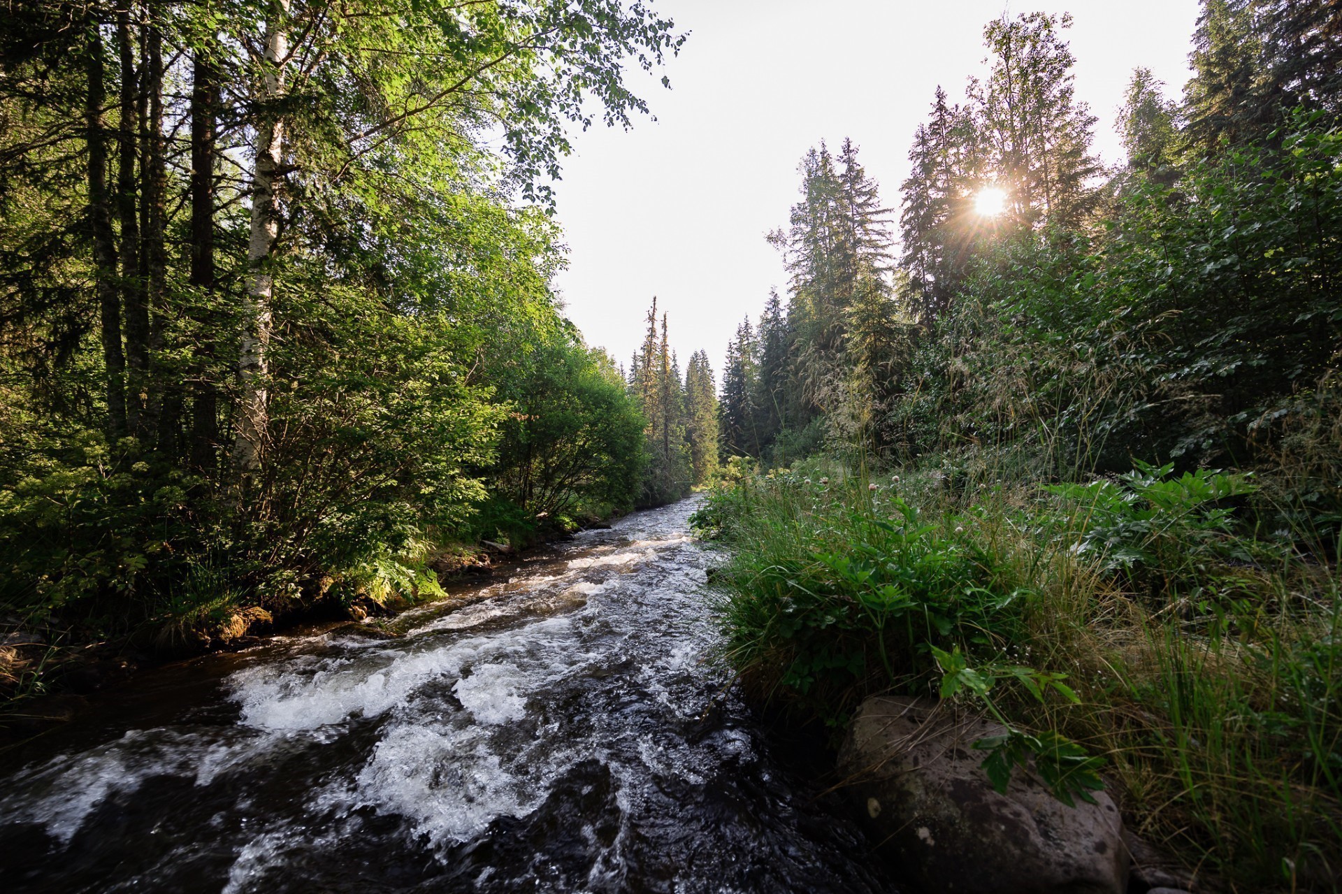 Το μυστικό της καλής πέψης μπορεί να κρύβεται στο ποτήρι μας