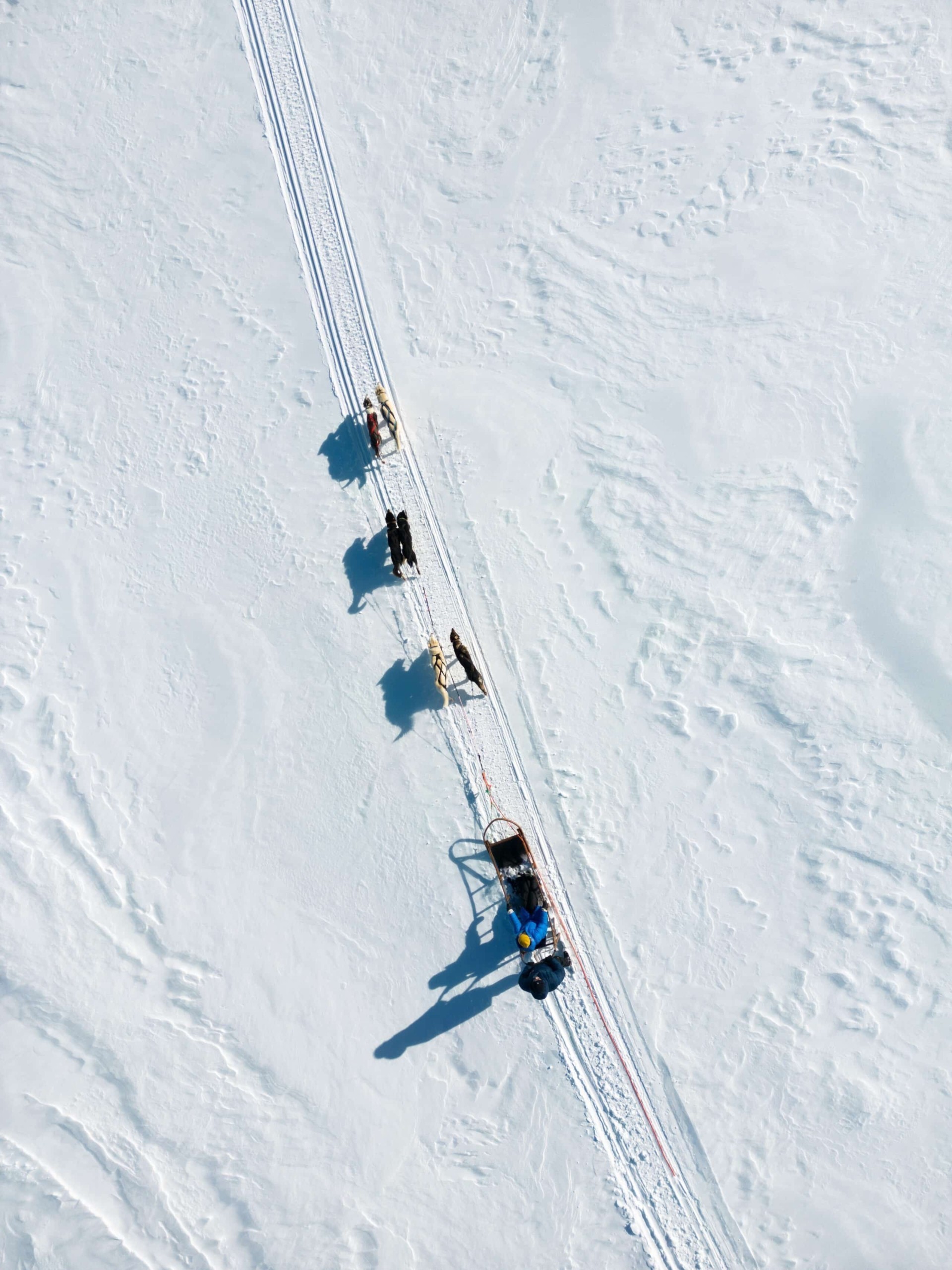 Πάγος και φωτιά στη Λαπωνία: Η εμπειρία της αρκτικής πολυτέλειας