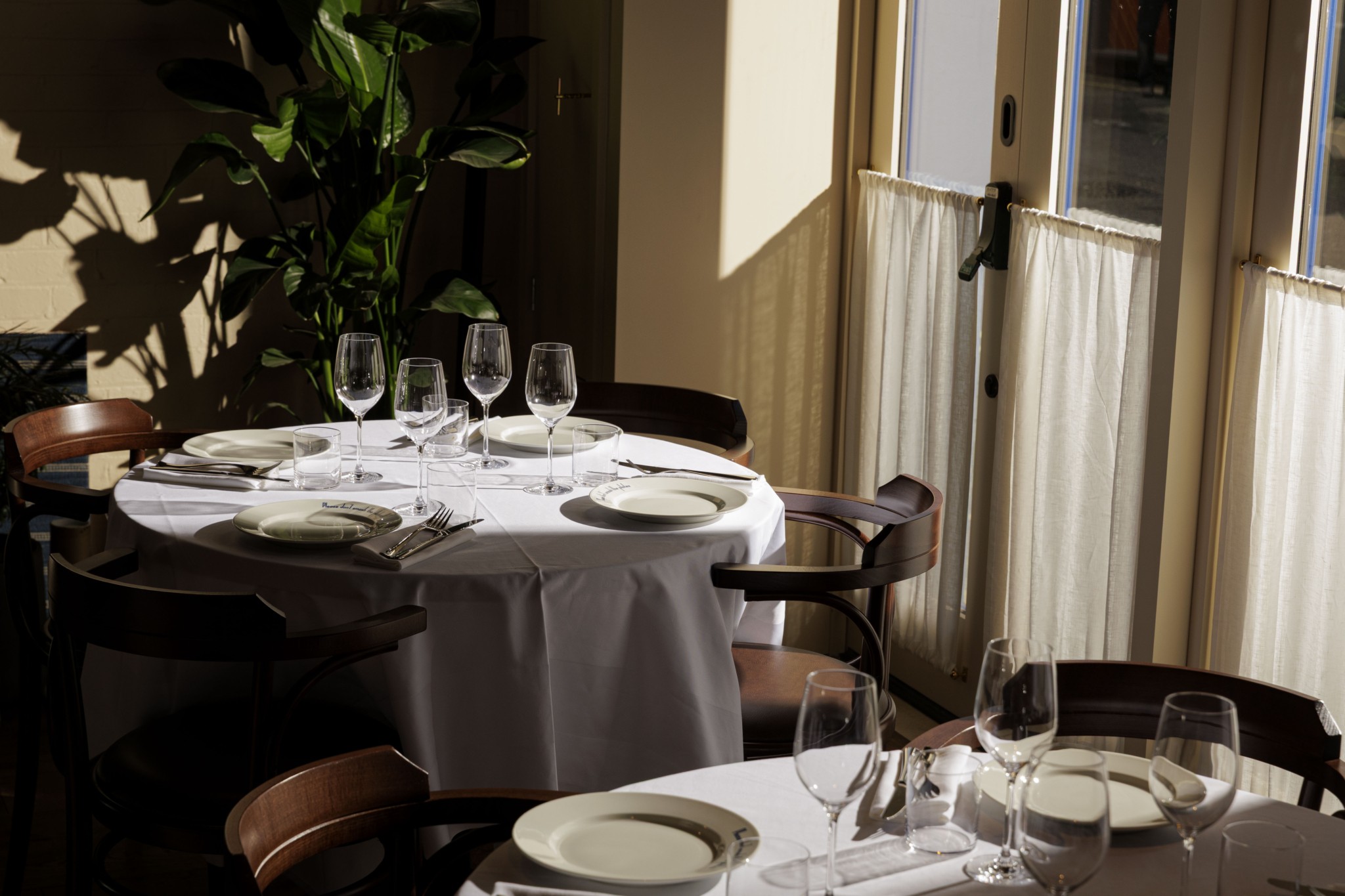 Maza: Το νέο ελληνικό εστιατόριο στο Λονδίνο