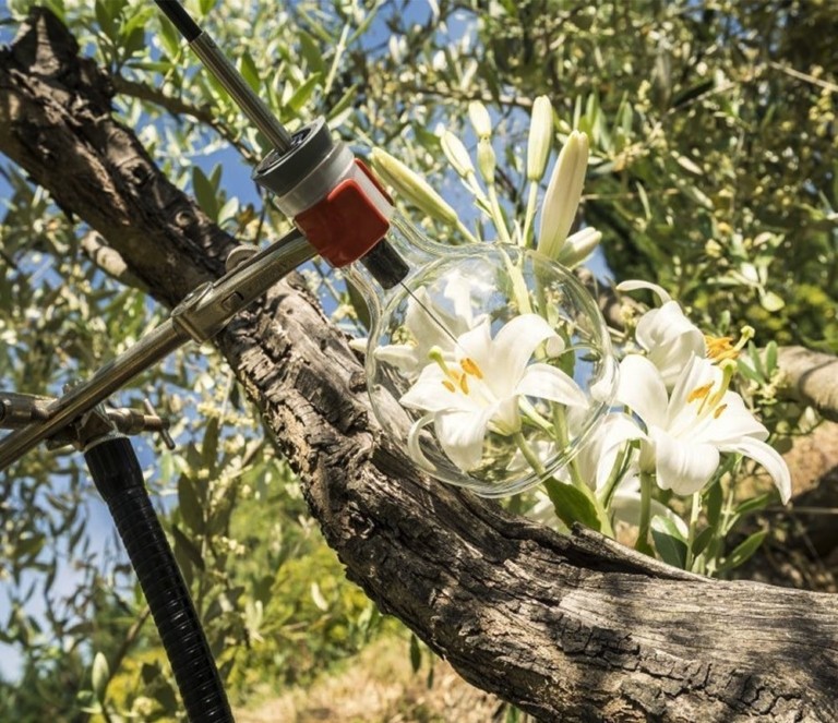 Η Γενεύη είναι η Silicon Valley των αρωμάτων