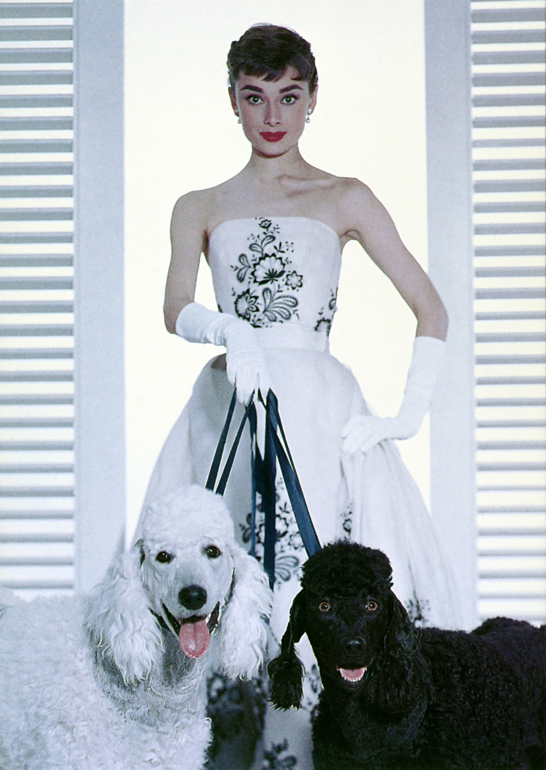 9 μούσες και 1 άνδρας: Οι σχέσεις που άλλαξαν τη μόδα