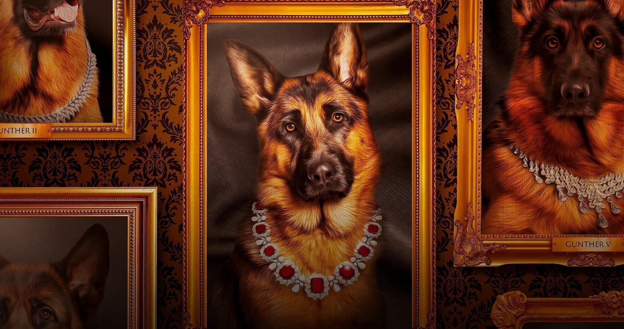 Κληρονόμοι με ουρά: Όταν τα κατοικίδια γίνονται εκατομμυριούχοι