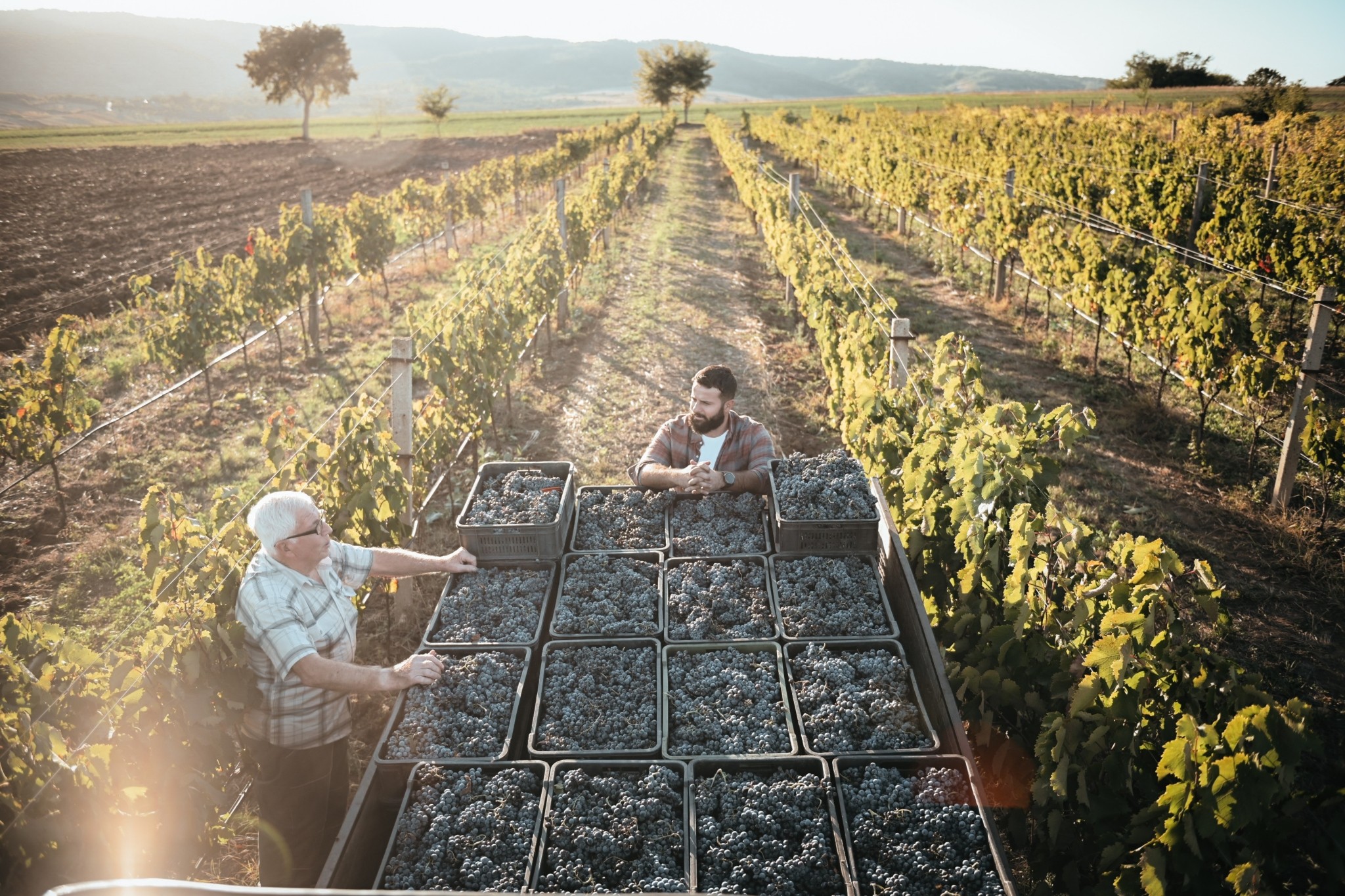 Οικογενειακές επιχειρήσεις χωρίς διαδόχους και η κατάρα της 3ης γενιάς