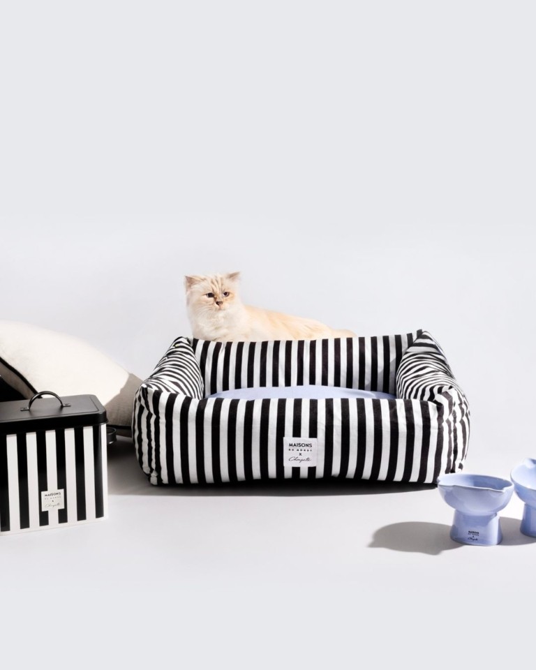 Κληρονόμοι με ουρά: Όταν τα κατοικίδια γίνονται εκατομμυριούχοι