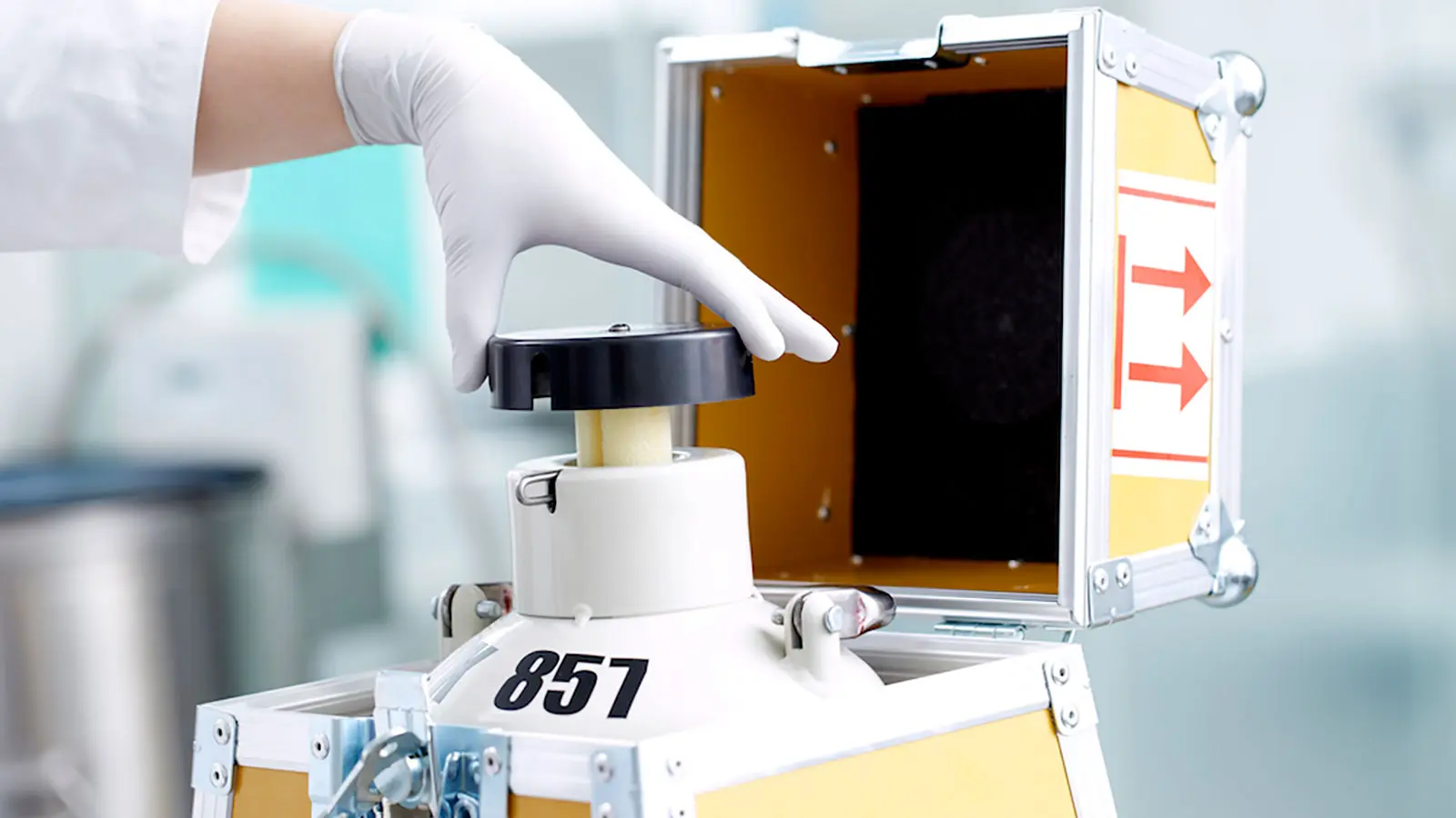 Μωρά Βίκινγκ: Γιατί οι γυναίκες προτιμούν δότες σπέρματος από τη Δανία