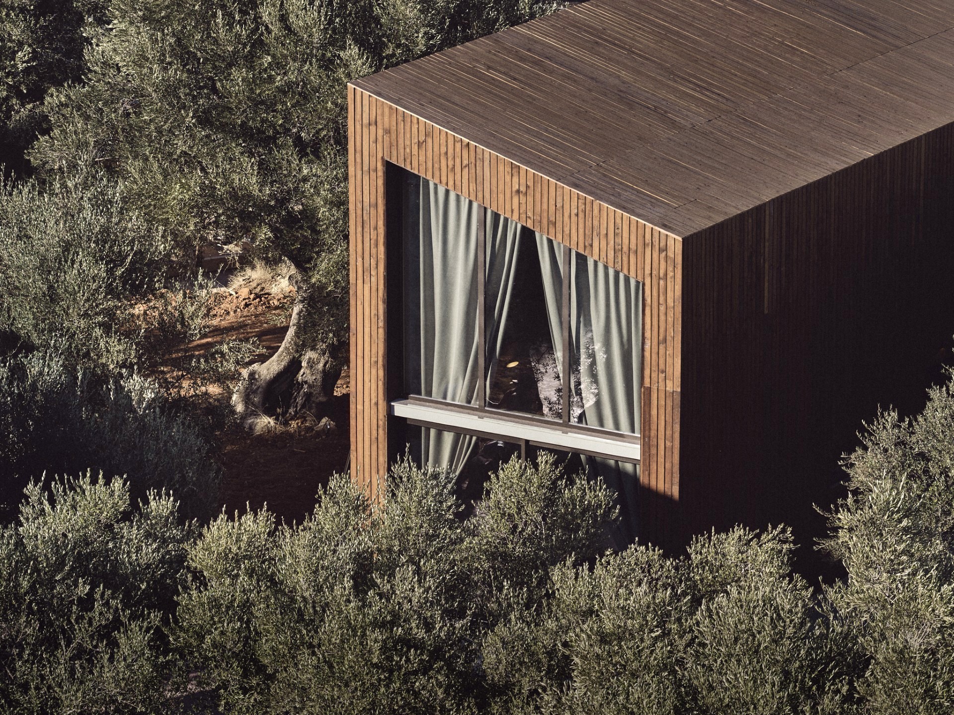 Prosilio & Olive Tree Houses: Δυο νέοι επιχειρηματίες στη Ζάκυνθο κάνουν τη διαφορά