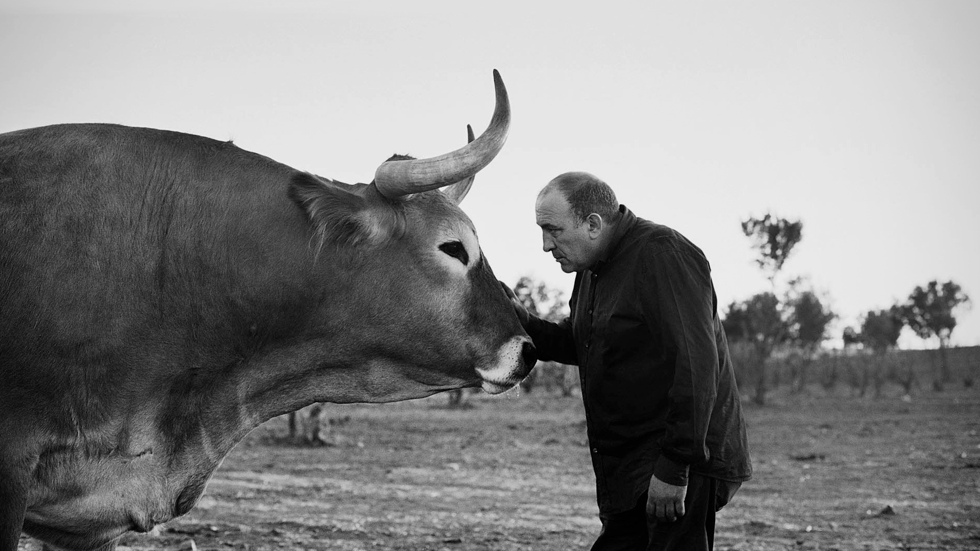Τα 10 καλύτερα εστιατόρια για κρέας στον κόσμο για το 2026
