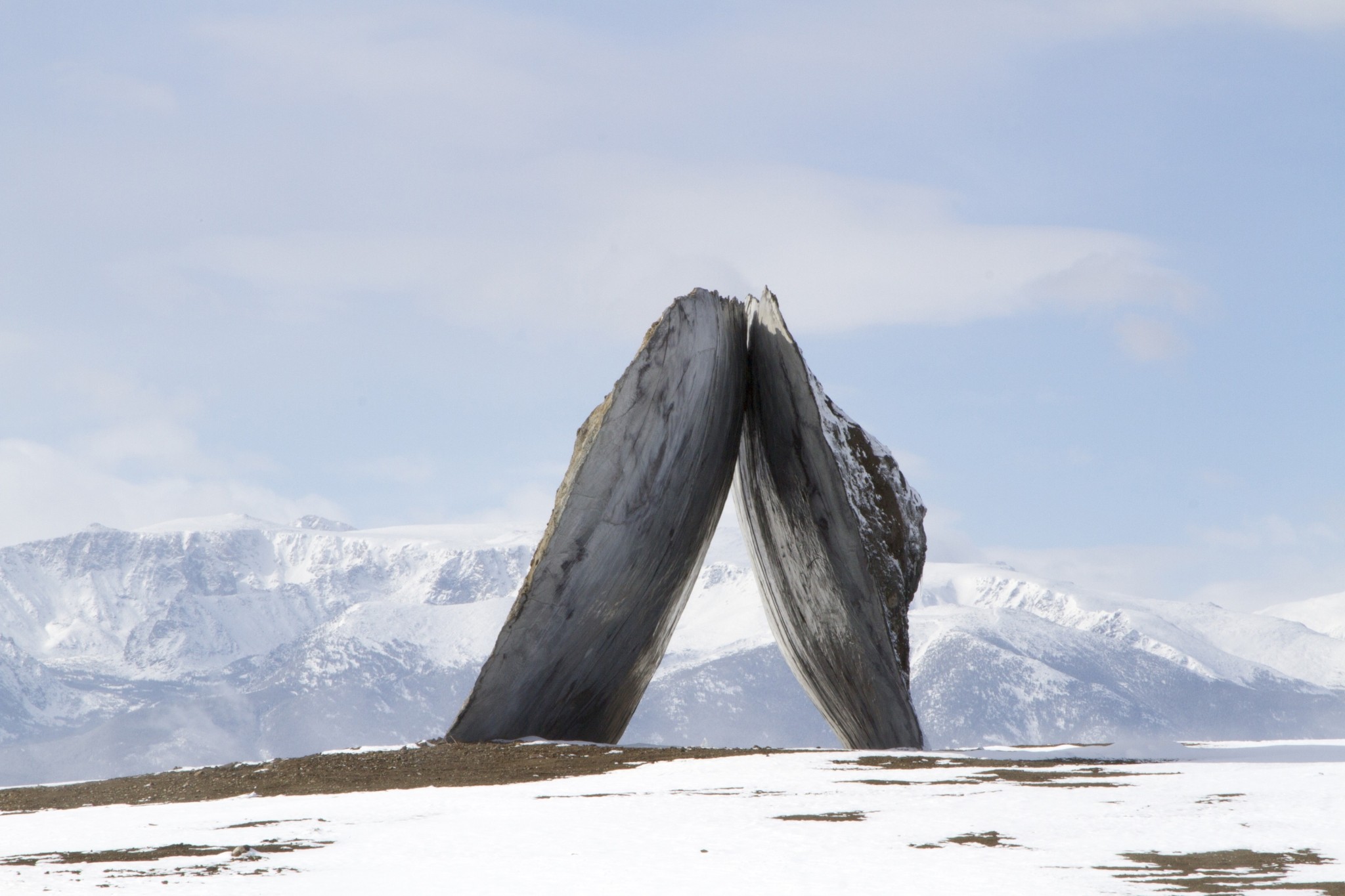 Τέχνη στη μέση του πουθενά: Πύλες στην έρημο, καθρέφτες στην παλίρροια