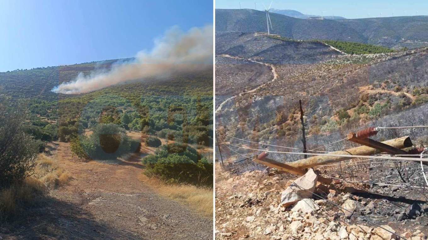Βοιωτία: Πώς ξεκίνησε η φωτιά, τι αποκάλυψε η αυτοψία της Πυροσβεστικής «στο σημείο μηδέν»