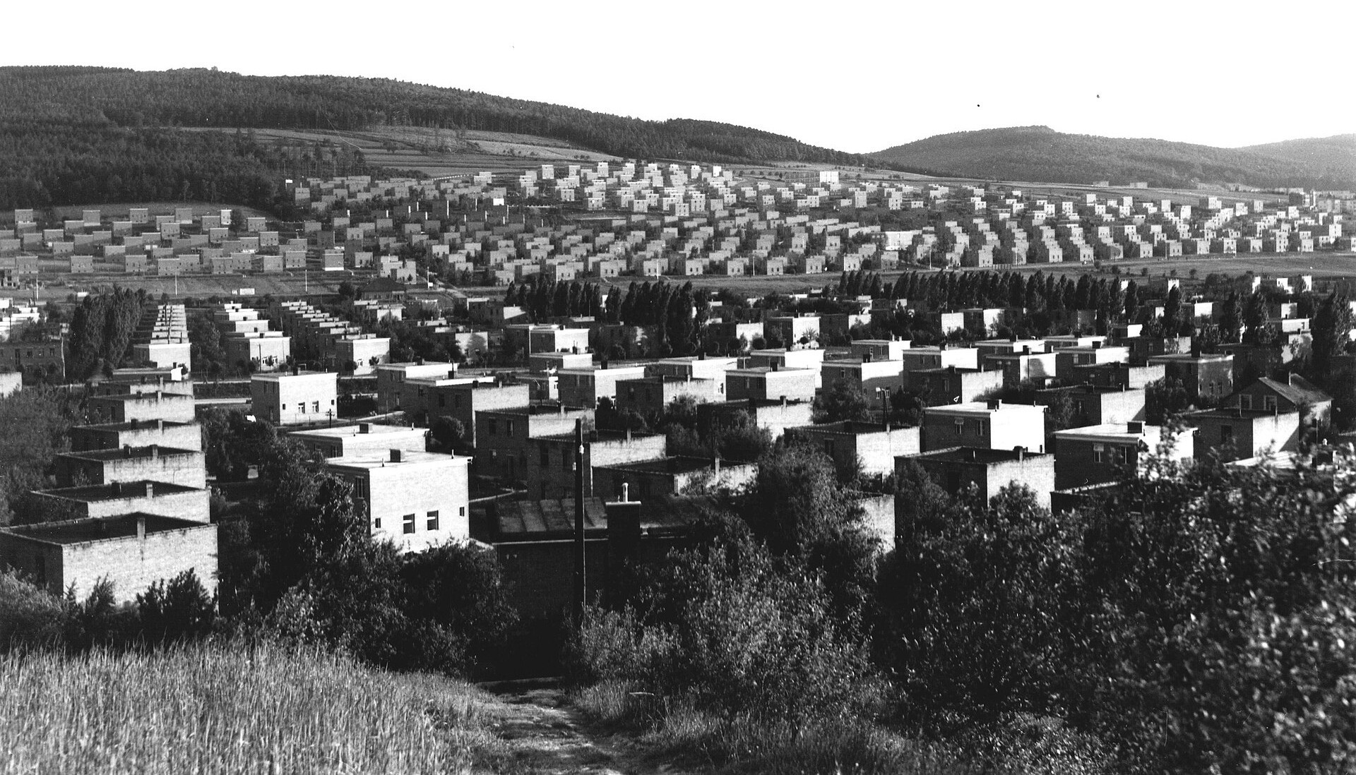 Ο άνθρωπος που ήθελε να φτιάξει ένα εργοστάσιο παπουτσιών και δημιούργησε μια ολόκληρη πόλη